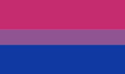 bandiera bisessuale