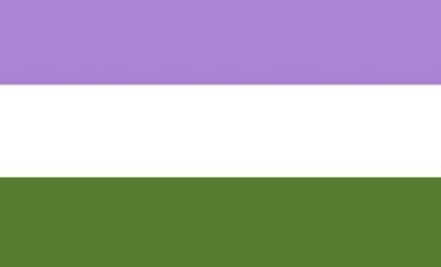 bandiera pride Genderqueer