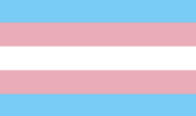 bandiera transgender lgbt