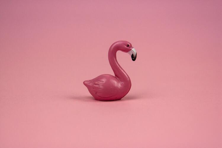 Flamingo Magic Motion