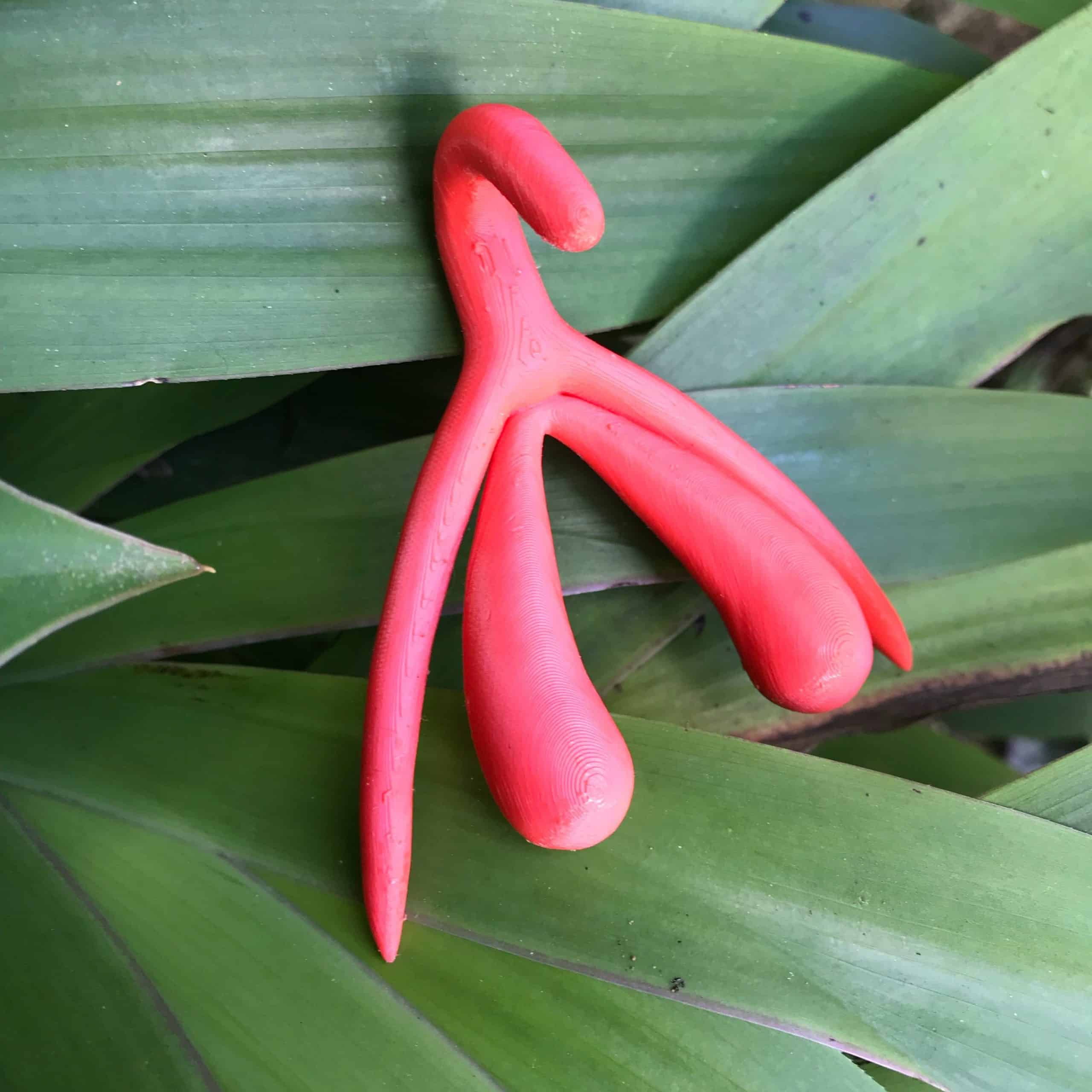 sex toys clitoride